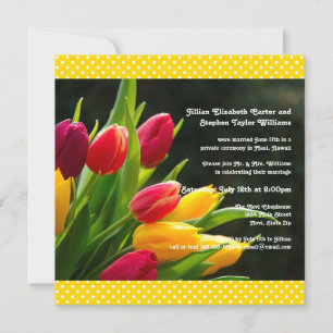 Colourful Tulips Photo -5x5 Wedding Announcement