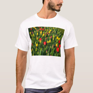 Colourful Tulips T-Shirt