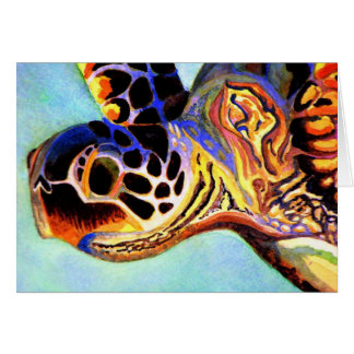 Colourful Turtle