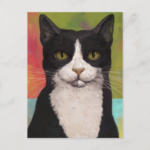 Colourful Tuxedo Cat Postcard