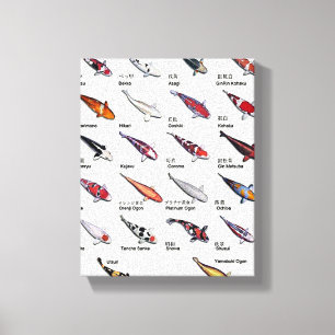 Colourful Varieties of Koi Fish Nishikigoi Drawing Canvas Print