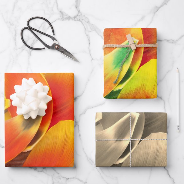 Colourful Variety Tulip Petal Photo All Occasion  Wrapping Paper Sheet (Front)