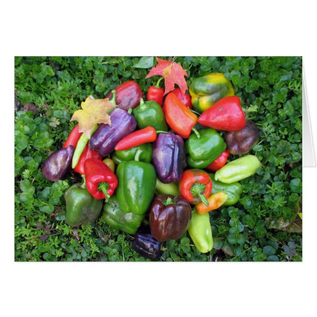 Colourful Veggies and Maple Leaves (Front Horizontal)