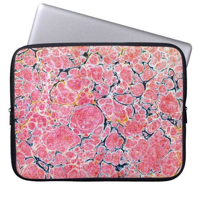 Colourful Victorian Marbled Paper Cover (Front)