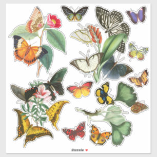 Colourful Vintage Art Butterflies and Flowers