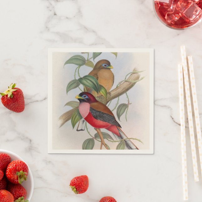 Colourful Vintage Birds Illustration Paper Napkin (Insitu)