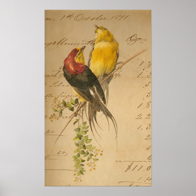 Colourful Vintage Birds On Vintage Ledger Paper Poster (Front)