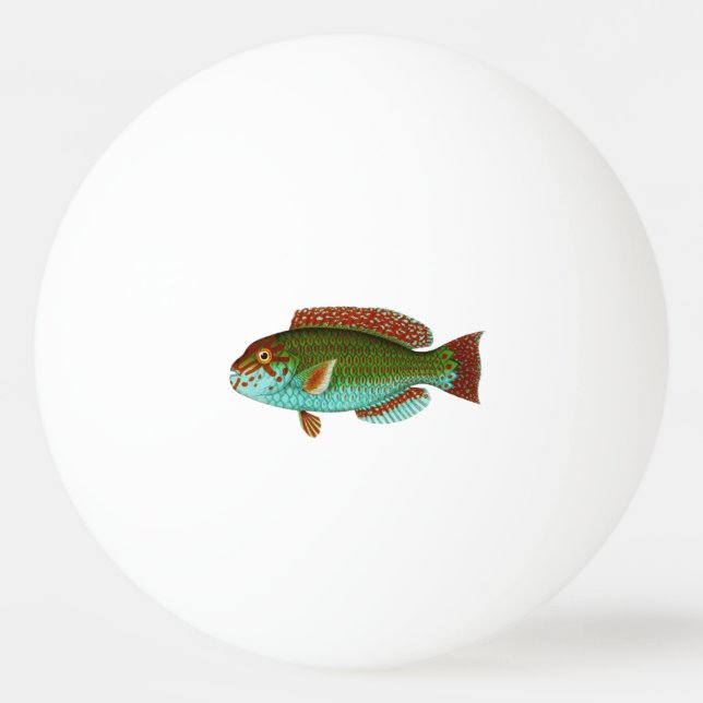 Colourful Vintage Fish Ping Pong Ball (Front)