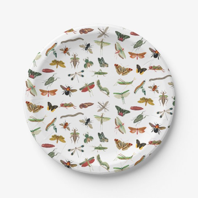 Colourful Vintage Insect Birthday Party Theme Paper Plate (Front)