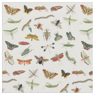 Colourful Vintage Insect Illustration Pattern  Fabric