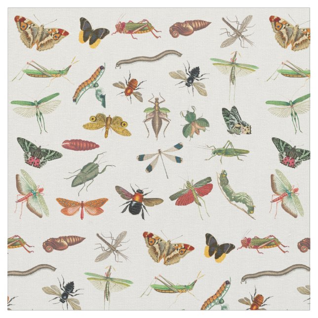 Colourful Vintage Insect Illustration Pattern  Fabric (Close Up)
