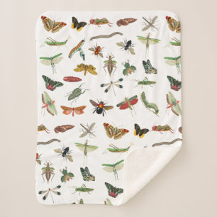 Colourful Vintage Insect Illustration Pattern Sherpa Blanket