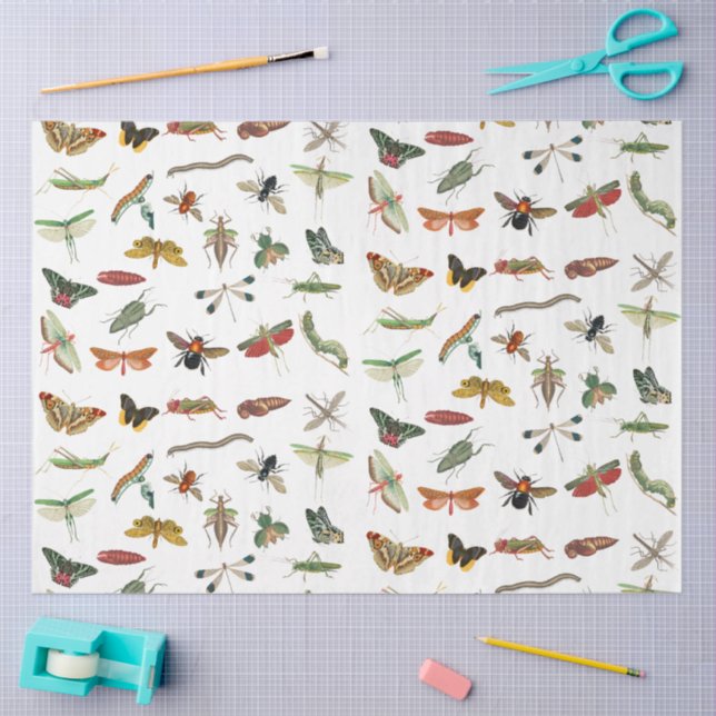 Colourful Vintage Insect Illustration Pattern  Tissue Paper (Craft)