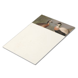 Colourful vintage painting of ducks notepad