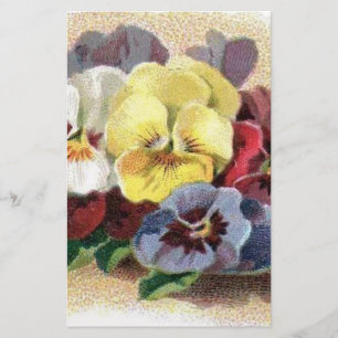 Colourful Vintage Pansies Floral Stationery