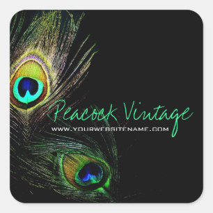 Colourful Vintage Peacock Feathers Stylish Photo Square Sticker