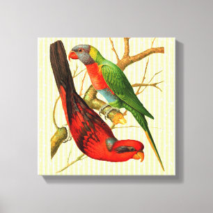 Colourful Vintage Red & Green Parrots Illustration Canvas Print