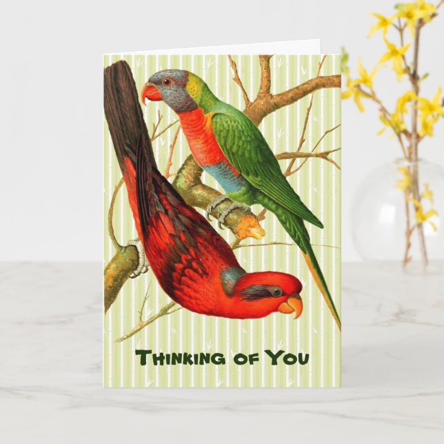 Colourful Vintage Red & Green Parrots Illustration Card (Yellow Flower)