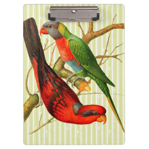 Colourful Vintage Red & Green Parrots Illustration Clipboard