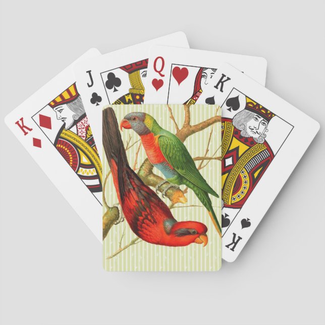 Colourful Vintage Red & Green Parrots Illustration Playing Cards (Back)
