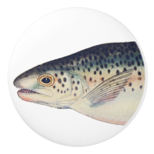 Colourful vintage salmon illustration ceramic knob (Front)