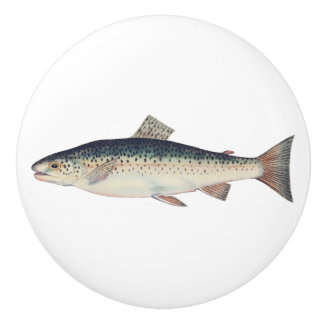 Colourful vintage salmon illustration ceramic knob