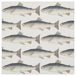 Colourful vintage salmon illustration fabric