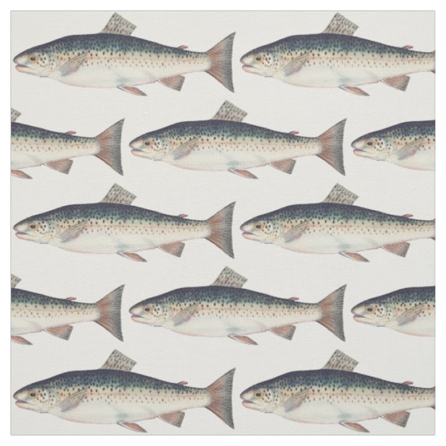 Colourful vintage salmon illustration fabric (Swatch)