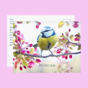 Colourful Vintage Steam Train Art, Name, Message Postcard