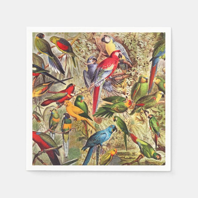 Colourful Vintage Tropical Birds Parrots Napkin (Front)