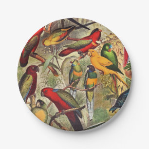 Colourful Vintage Tropical Birds Parrots Paper Plate