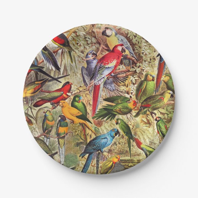 Colourful Vintage Tropical Birds Parrots Paper Plate (Front)