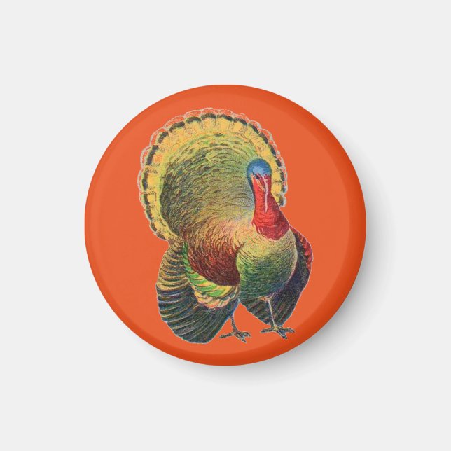 Colourful Vintage Turkey Magnet (Front)