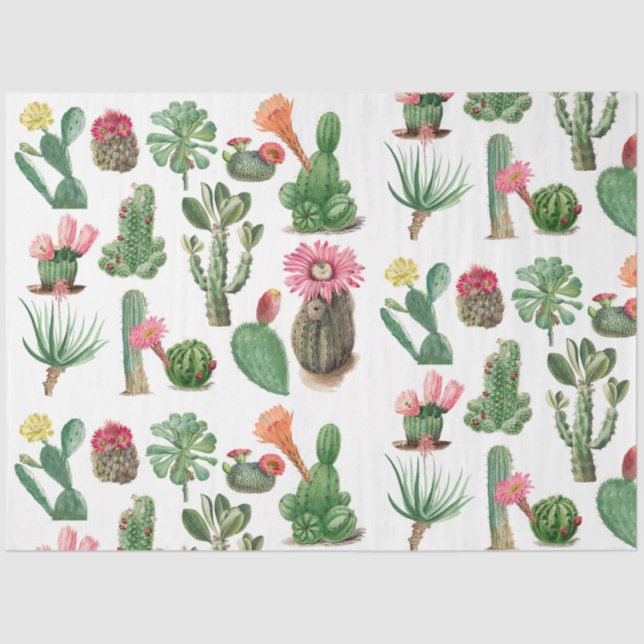 Colourful Watercolor Cactus & Succulents Flowers Tissue Paper (Front)