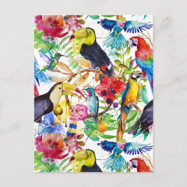 Colourful Watercolor Parrots 2 Postcard (Front)