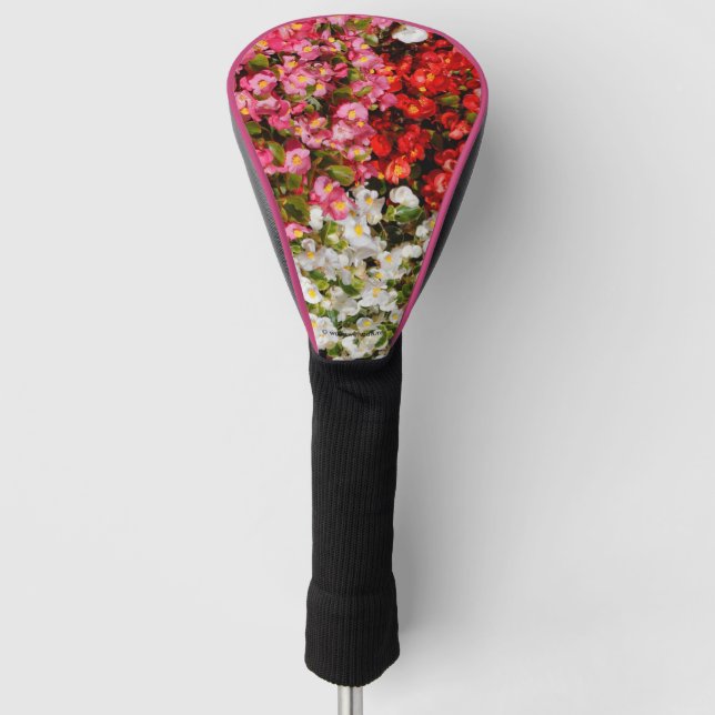 Colourful Wax Begonias Golf Head Cover (Front)