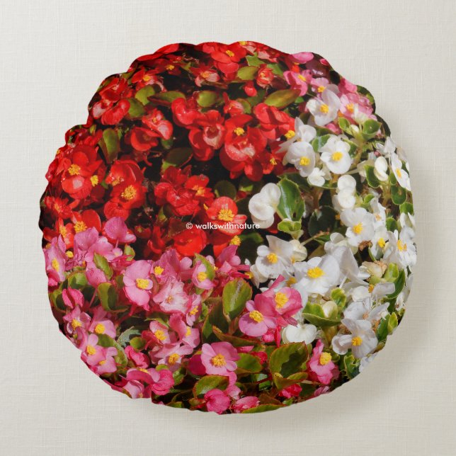 Colourful Wax Begonias Round Cushion (Front)