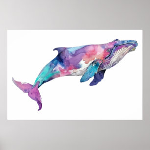 Colourful Whale Illustration   Poster