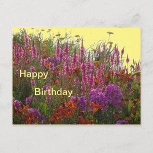Colourful Wild Flowers Happy Birthday Postcard
