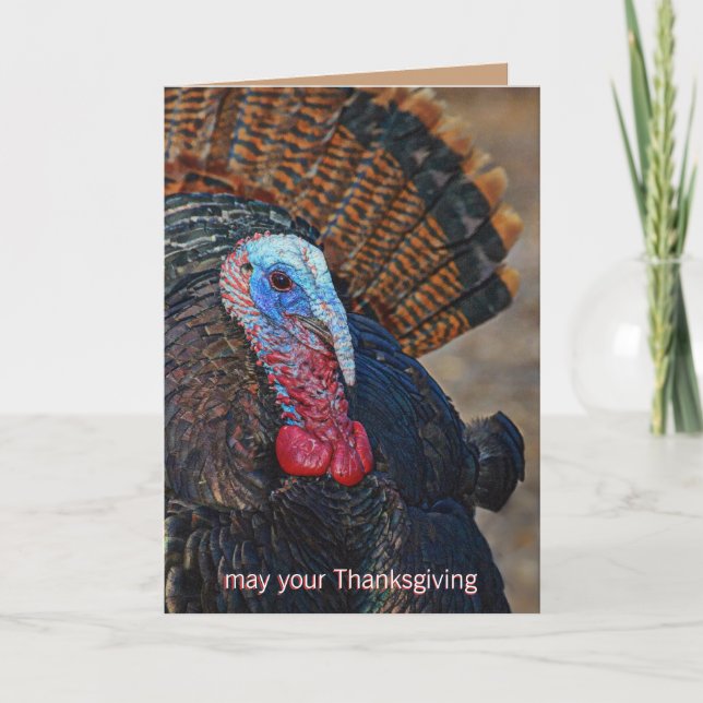 Colourful Wild Turkey Thanksgiving Cute Unique Holiday Card (Front)