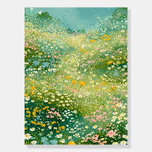 Colourful Wildflower Meadows