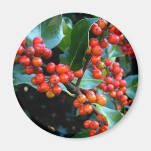 colourful winter gift magnet