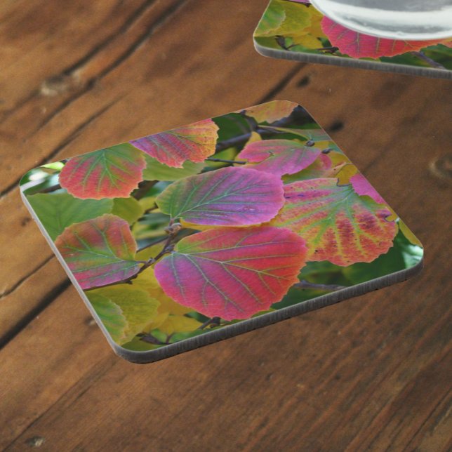 Colourful Witch-Alder Leaves Botanical Coaster (In Situ)