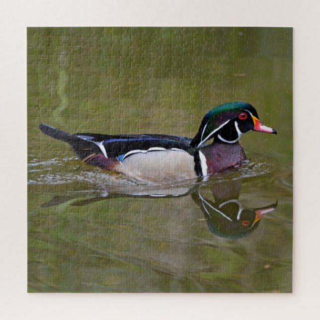 Colourful wood duck jigsaw puzzle (Vertical)