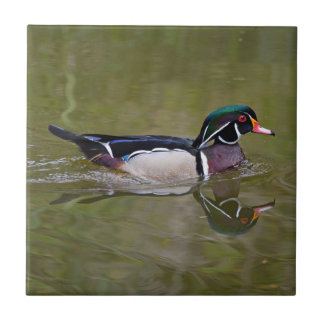 Colourful wood duck tile