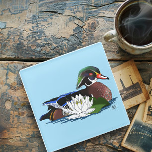 Colourful Wood Duck Water Lily Wildlife Blue Glass Coaster