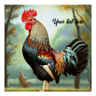 Colourful Wyandotte Rooster Poster