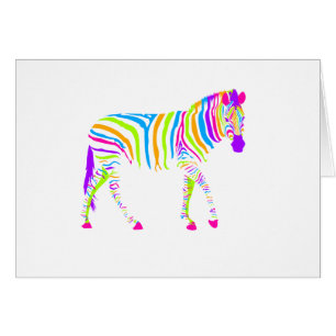 Colourful Zebra