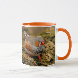 Colourful Zebra Finch Songbird on the Rocks Mug