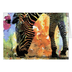 Colourful Zebra Grunge